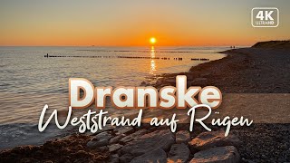 Dranske  Weststrand nach Hiddensee  Rügen Urlaub 2022 4K SunsetWalk [upl. by Siriso325]