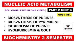 Unit 4 Biosynthesis of Purine and Pyrimidine nucleotides  Gout  Part 2  Biochemistry 2nd sem [upl. by Thorfinn]