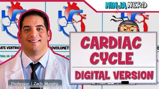 Cardiovascular  Cardiac Cycle Digital Version [upl. by Hanauq]