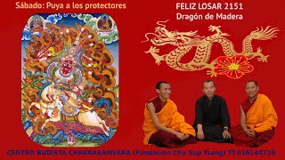 240210 Celebración del Losar 2151 Puja de los protectores y ofrenda de Tsok [upl. by Eicrad]