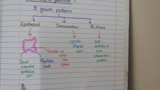 Malignant Mesothelioma Pathology  Morphology [upl. by Bayly]