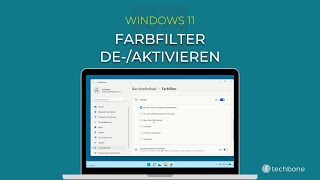 Farbfilter deaktivieren Windows 11 [upl. by Ecinnaj200]