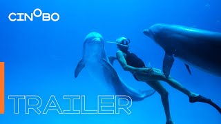 Dolphin Man Trailer  GR Subs  Cinobo [upl. by Kcirdot781]