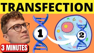 QUICKLY Understand Transfection [upl. by Thrift438]