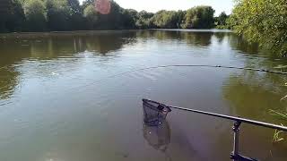 Pellet Waggler Fishing Turns into Top Kit Fishing for Big Carp [upl. by Axel580]