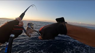 Open fishing season shore jigging Montenegro [upl. by Randolph600]