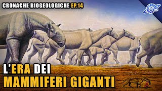 LEra dei Mammiferi Giganti  Oligocene Paleogene  Cronache Biogeologiche Ep 14 [upl. by Monahan]