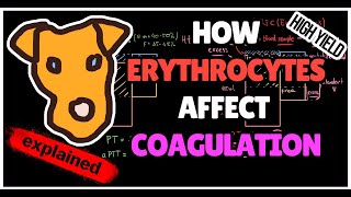 How Hematocrit Affects Coagulation in Polycythemia Citrate overload [upl. by Eulalie550]