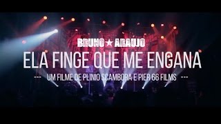 Bruno Araujo  Ela Finge Que Me Engana [upl. by Blayne]