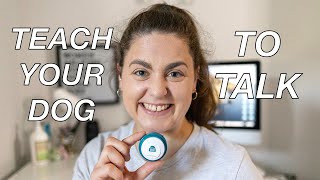 TRAIN YOUR DOG TO TALK WITH BUTTONS  how to teach your dog to talk using canine AAC [upl. by Nosduj]