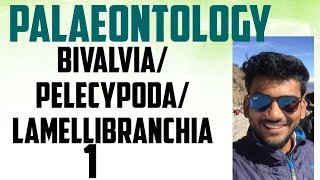 palaeontology lecture series bivalvia pelecyopoda lamellibranchia part12 [upl. by Kareem]