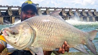 NO BAIT FISHING TECHNIQUES Traditional hand Fishing Video  Rainwater running water Fishing [upl. by Ano]