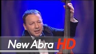 Zbigniew Zamachowski amp Grupa MoCarta  Bal u Grubego Jośka DVD [upl. by Roarke]