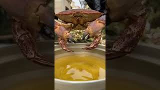 Extracting the meat from the crab after frying it in the oil [upl. by Kaela]