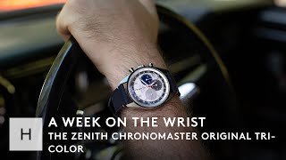 A Zenith Chronomaster In A 66 Mustang  A Week On The Wrist [upl. by Annavaig]