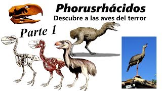 Phorusrhácidos Descubre a las aves del terror Parte 1 [upl. by Ainej]