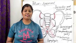 ligament of pelvic in hindi  sacroiliac ligament  Interpubic ligament  sacrotuberous ligament [upl. by Anhoj]