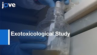 Exotoxicological Method to study Toxicity of Enviromental Contaminants  Protocol Preview [upl. by Suiddaht]