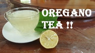 How to make oregano tea at home Very Easy [upl. by Salta]