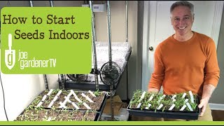 How I Start Seeds Indoors Tips amp Techniques [upl. by Mercola232]