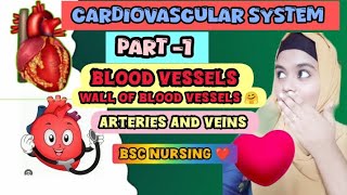 blood vessels 🤗❤️ artery and vein  cardiovascular system  Anatomy and Physiologystudy [upl. by Acacia992]