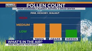 Tree pollen in high range [upl. by Sitnik]