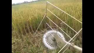 Simple Rice Harvester [upl. by Tarfe71]