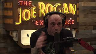 Joe Rogan Experience 1824  Lex Fridman [upl. by Margi787]