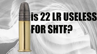 22 LR for SHTF [upl. by Eniagrom205]