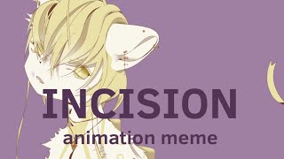 Incision  animation meme [upl. by Dallman]