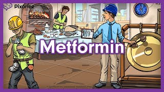 Metformin USMLE Mnemonic [upl. by Esereht735]