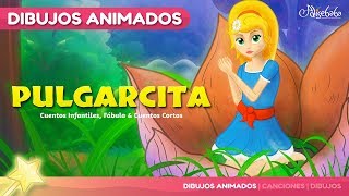 Pulgarcita  Cuentos infantiles para dormir [upl. by Llerrehs]