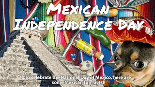 History of the Holidays Sep 16th Mexican Independence Day [upl. by Perkoff]