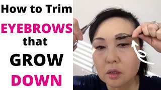 😉 How to Trim Your Eyebrows that Grow Down [upl. by Einberger]