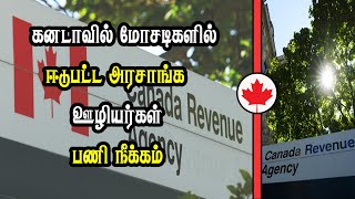 கனடாவில் மோசடிகளில் ஈடுபட்ட அரசாங்க ஊழியர்கள் பணி நீக்கம் [upl. by Leckie]