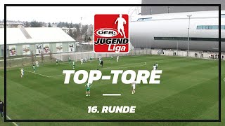 Top Tore der ÖFB Jugendliga  16 Runde [upl. by Beck869]