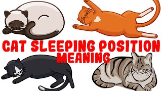 What Your Cats Sleeping Position Reveals About Their Health and Personality [upl. by Colston]