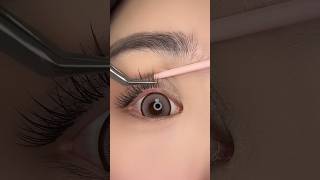 Eyelashes Makeup Tutorial Beauty Tips eyelashes [upl. by Nwahsal]