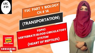 Ch14  Lec 21  VERTEBRATE BLOOD CIRCULATORY SYSTEMHeart Of ReptilesFSc Bio part 1riffatjahan [upl. by Santini]