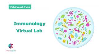 Immunofluorescence assay IFA  Immunology Virtual Lab l PraxiLabs [upl. by Felipe]