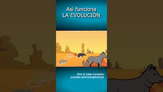 Así funciona LA EVOLUCIÓN🐒🧬shorts biologia ciencia [upl. by Noevart]