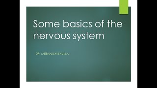 Some basics of the nervous system तंत्रिका तंत्र के कुछ मूल तथ्य [upl. by Tiras]