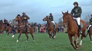 Hakendover 2016 Paardenprocessie [upl. by Durand]