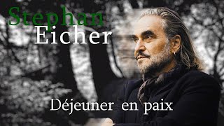 Stephan Eicher Déjeuner en paix Karaoke [upl. by Akili]