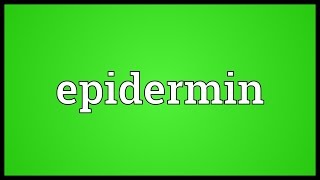 Epidermin Meaning [upl. by Lettie]