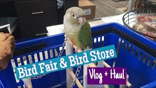 Going to the bird fair and store ft Kermit [upl. by Domenic]