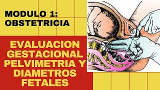 EVALUACION GESTACIONAL  PELVIMETRIA Y DIAMETROS FETALES [upl. by Bolte]