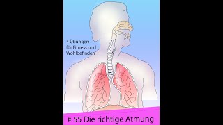 Die richtige Atmung 4 Übungen für Deine Gesundheit [upl. by Nariko]