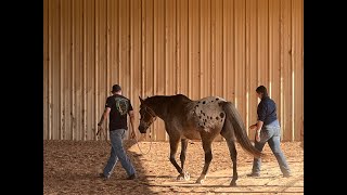 Cavalry charge sound effect [upl. by Nahsyar]