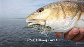 How to Cast and Catch More Redfish on the Mosquito Lagoon and Indian River [upl. by Sdlonyer]